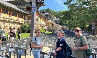 Perfect UNESCO World Heritage Tour Gyeongju & Busan Highlights