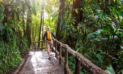 Khao Yai National Park and Waterfalls Tour from Bangkok