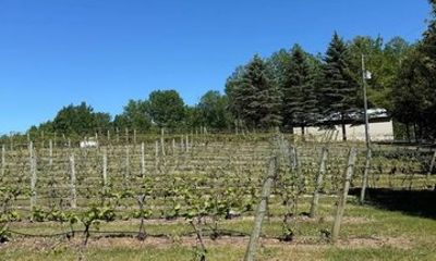 Private Bus Tour to Antrim and Charlevoix Wineries from Bellaire