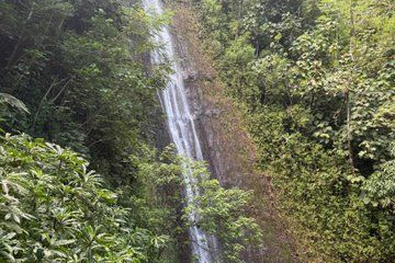 Jurassic Falls & Beach Day