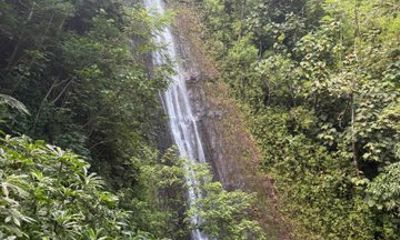 Hawaiian Waterfall Hike with Scenic Lookout