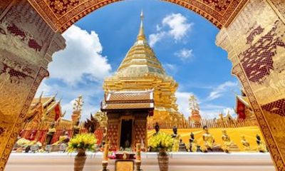 Suthep Golden Pha Lat Umong Sacred Temples and Baan Kang Wat Trip