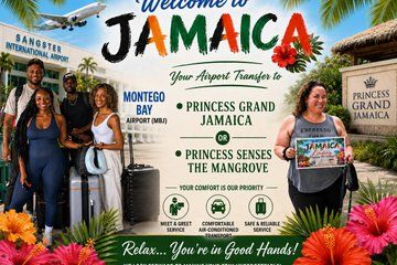 Private Airport Transfer to Princess Grand or Mangrove Resort