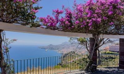 Funchal: Private Tuk-Tuk Tour with Scenic Viewpoints