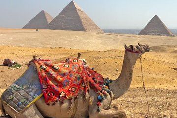 Pyramids & Citadel from Port Said Hotels
