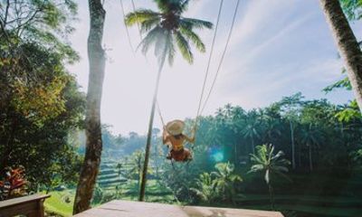 Bali Swing, Ubud Monkey Forest and Tanah Lot Sunset Tour