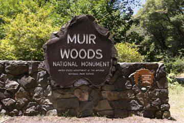 Private San Francisco World Cup Fans Muir Woods Nature Tour