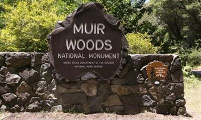 Private San Francisco World Cup Fans Muir Woods Nature Tour