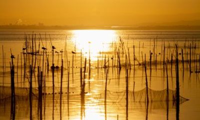 Private Albufera Tour with Boat Trip