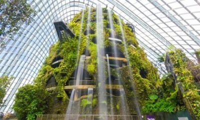 Gardens by the Bay Flower Dome Cloud Forest Jurassic World