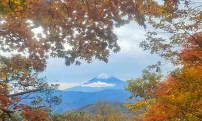 Tokyo Nature Escape Hiking Local Food and Onsen with a Local Host
