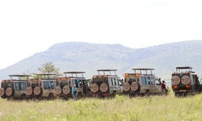 Masai Mara 3 Day Tour at Safari