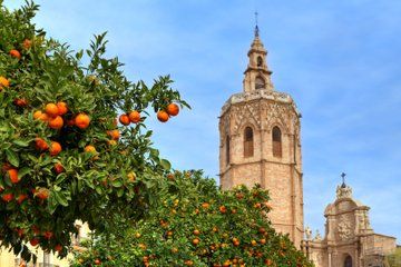 Private Tour of Valencia with Transportation Included