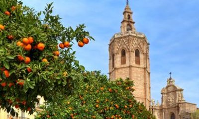 Private Tour of Valencia with Transportation Included