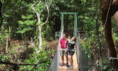 El Espino Eco Park Birdwatching Tour with a Naturalist Guide