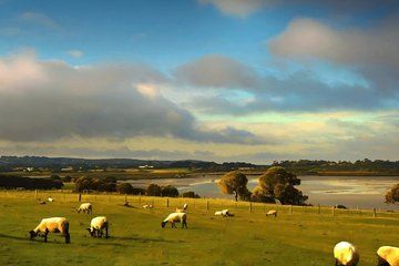 Phillip Island Heritage Farm, Sheepdog Show & Penguin Parade