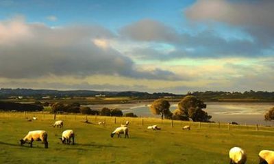 Phillip Island Heritage Farm, Sheepdog Show & Penguin Parade