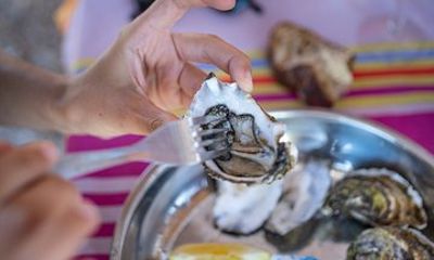 Private Half Day Wine and Oyster Tasting Tour from Cap d'Agde