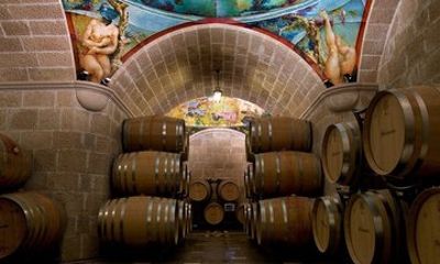 Radici Wine Tasting Experience from Salerno with Lunch
