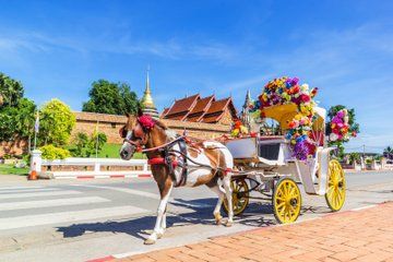 Private Lampang Horse Carriage and Rooster Bowl from Chiang Mai