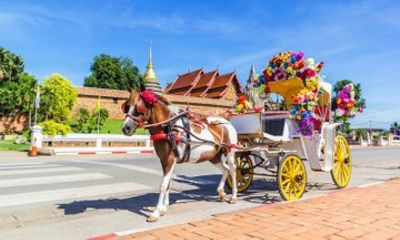 Private Lampang Horse Carriage and Rooster Bowl from Chiang Mai