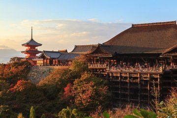Kiyomizu-dera and Gion Walk with History Guide