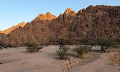 Desert Safari Medina to Wadi Jinn and Al Baida with Tour Guide