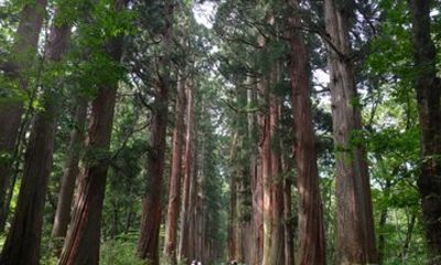 3 Day Northern Nagano Heritage and Nature Tour