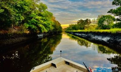 Evening Cruise Around Remote Tidal Salt Marsh
