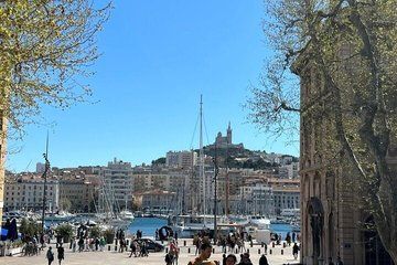 Marseille and Aix-en-Provence Culture and Tasting