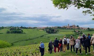Beaujolais Wine Tour Golden Stones