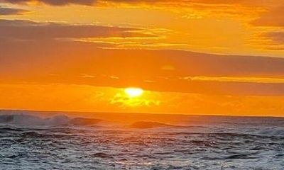 Oahu North Shore and East Shore Sightseeing Tour