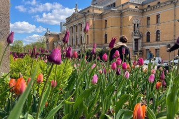 The Best of Oslo: Tour + Local Secrets Guide