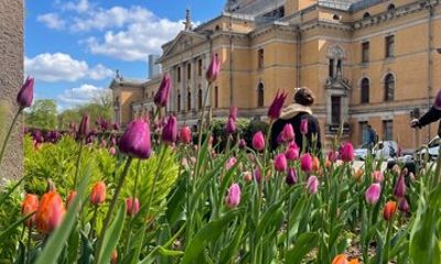 The Best of Oslo: Tour + Local Secrets Guide