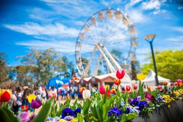 Canberra Floriade Flower Festival Mount Ainslie and Bowral Tour