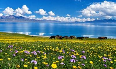 Xinjiang Blue Jewel Escape A Private 4 Day Sayram Lake Tour
