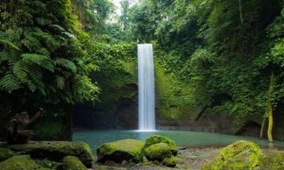 Customize Bali Private Day Tour with Local Driver