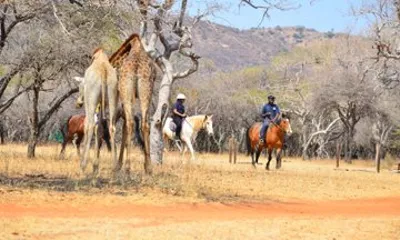 Magaliesberg Horseback Wildlife Mini Safari
