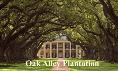Oak Alley or St. Joseph Plantation with Shuttle From New Orleans