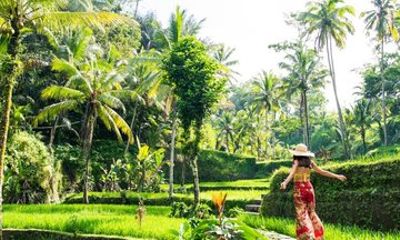 Ubud Cultural and Nature Tour with Monkey Forest and Rice Terrace