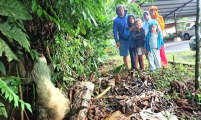 Sloth Watching and Night Walk Adventure Combo in La Fortuna