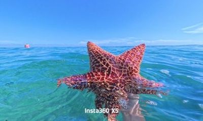Summertime Morning Swim in the Florida Keys Catamaran