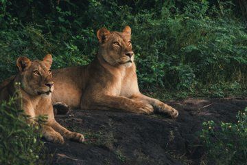 7-Day Windhoek Namib Desert Swakopmund and Etosha NP