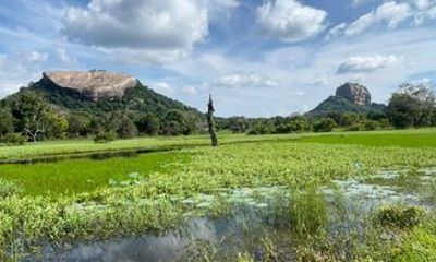 7 Days SriLanka Private Tour Package Culture Nature and Beach