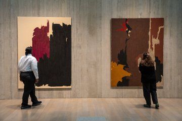 Clyfford Still Museum Admission Ticket Denver Colorado