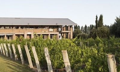 Mendoza Achaval Ferrer Ultimate Wine Tasting and Winery Tour