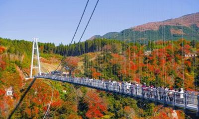 Fukuoka Kyushu Autumn Scenic 4 Spots Day Tour