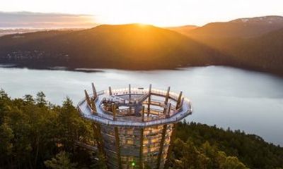 Victoria Private Tour in Butchart Gardens, SkyWalk, Ferry