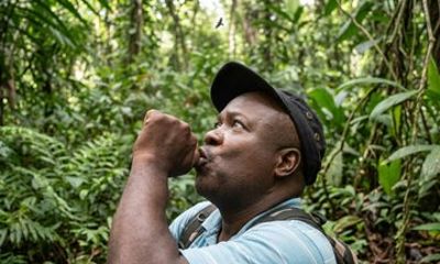 Bird Watching Tour with the Bird Whisperer in Montserrat