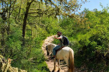 From Porto Douro Countryside Horse Riding Day Trip and Lunch